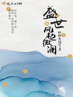 盛世:风起微澜封面