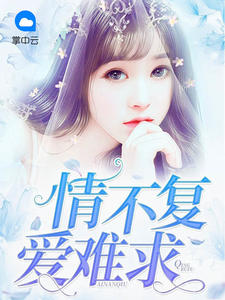 情不复爱难求封面