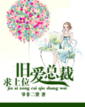 旧爱总裁求上位封面