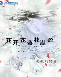 花开花落花满盈封面