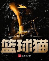 我有一只篮球猫封面