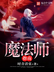 魔法师指南封面