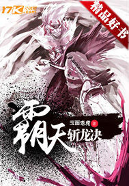 霸天斩龙诀封面
