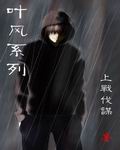 叶风系列封面