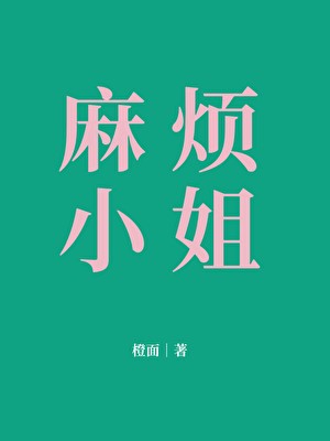麻烦小姐封面