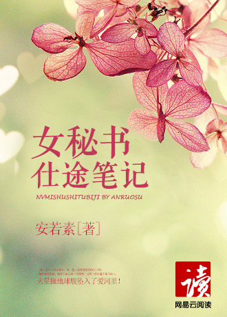 女秘书仕途笔记封面