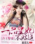冷王娶妻:一品皇妃不好追封面