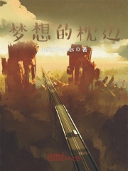 梦想的枕边封面