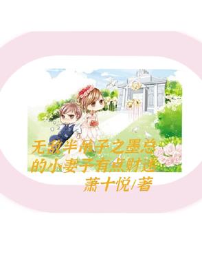 无敌半吊子之墨总的小妻子是财迷封面