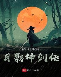 月影神剑传封面