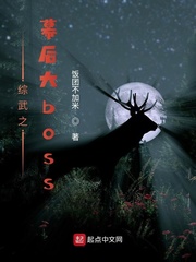 综武之幕后大boss封面