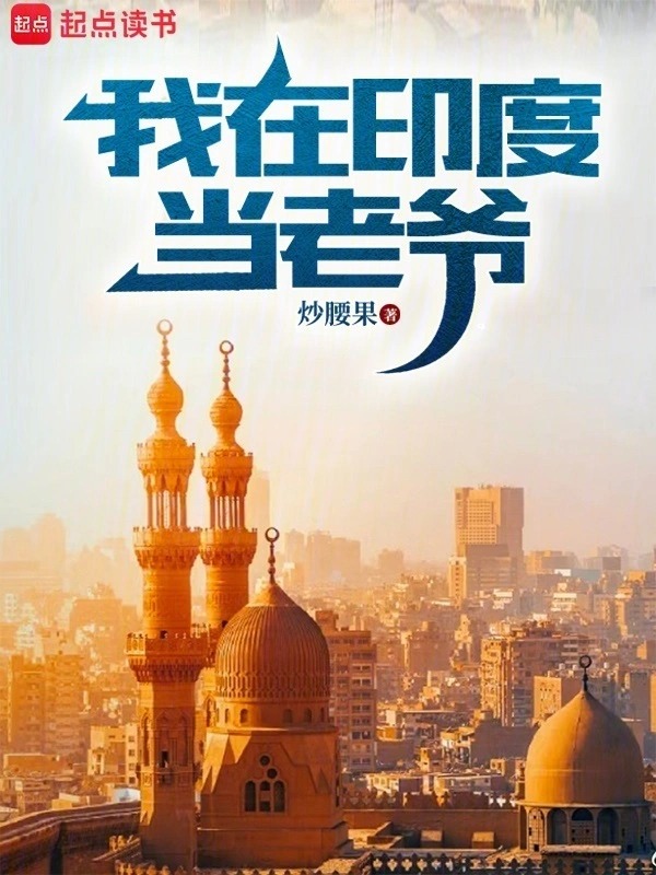 我在印度当老爷封面