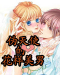 伪天使的花样美男封面