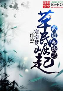 武道系统之草民崛起封面