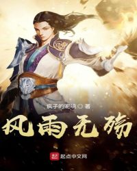 风雨无殇封面
