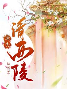 迷失清西陵封面