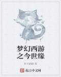 梦幻西游之今世缘封面