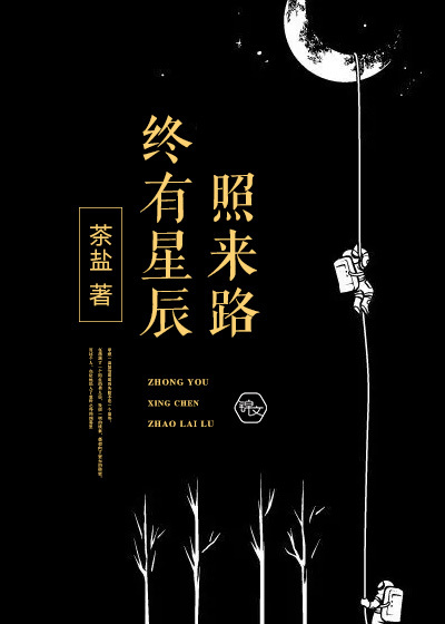 终有星辰照来路封面