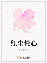 红尘梵心封面