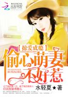 掠爱成瘾：偷心萌妻不好惹封面