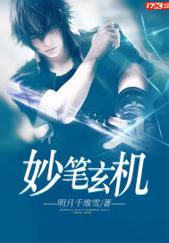 妙笔玄机封面