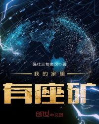 我的家里有座矿封面