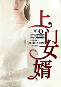 上门女婿封面