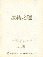 反转之理封面