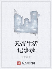 天帝生活记事录封面
