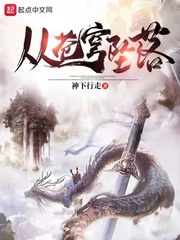 从苍穹坠落封面