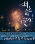 烟花逝去的冷封面