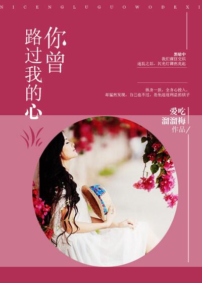 你曾路过我的心封面