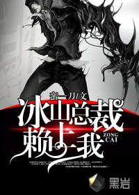 冰山总裁赖上我封面