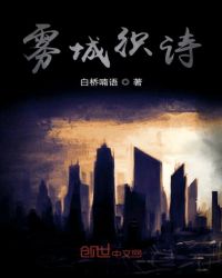 雾城的寻览者封面