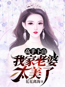 高手下山，我家老婆太美了封面