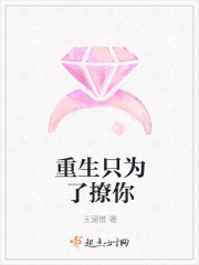 重生只为了撩你封面