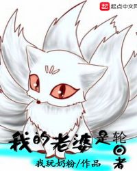 我的老婆是轮回者封面