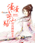 漫漫武仙路封面