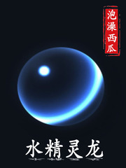 水灵龙封面