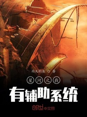 星河之我有辅助系统封面