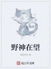 野神在望封面