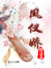 凤仪娇封面