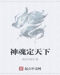 神魂定天下封面