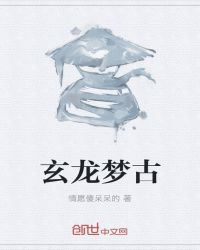 玄龙梦古封面