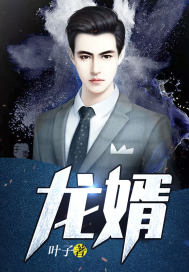 龙婿（完本）封面