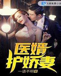 医婿护娇妻封面