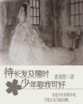 待长发及腰时少年娶我封面