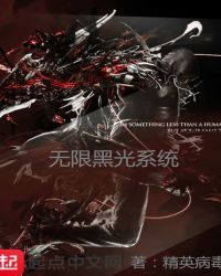 无限黑光系统封面