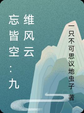 忘皆空:九维风云封面