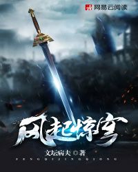 风起惊穹封面
